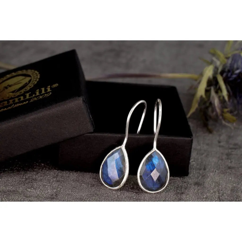 925 sterling zilver labrodiet oorbellen. - sieraden