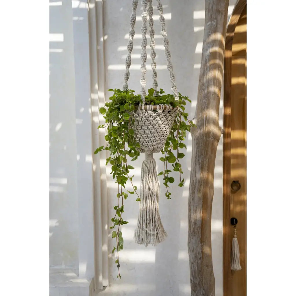 De Twisted Macrame Plantenhouder - Naturel Wit - M